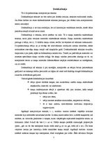Referāts '20.gadsimta mūzikas kompozīcijas tehnikas. Elektroniskā mūzika. Pēteris Vasks', 5.