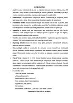 Referāts '20.gadsimta mūzikas kompozīcijas tehnikas. Elektroniskā mūzika. Pēteris Vasks', 29.