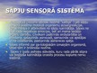 Prezentācija 'Sensorā sistēma', 49.