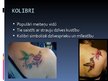 Prezentācija 'Simboliskās zīmes tetovējumos', 25.