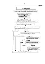 Referāts 'Eiropas Savienības direktīvu ieviešanas savlaicīgums un kvalitāte', 35.