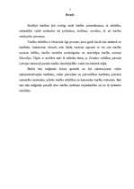 Referāts 'Tiesības Zviedru Vidzemē', 2.