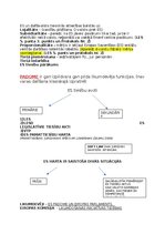 Konspekts 'Ievads ES tiesībās', 3.