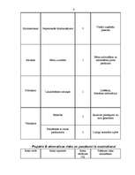 Referāts 'Projekts "Bērnības svētki"', 9.