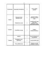 Referāts 'Projekts "Bērnības svētki"', 10.