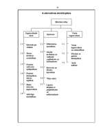 Referāts 'Projekts "Bērnības svētki"', 14.