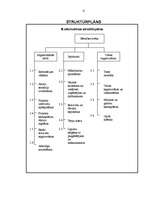 Referāts 'Projekts "Bērnības svētki"', 15.