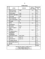 Referāts 'Projekts "Bērnības svētki"', 24.