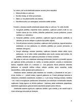 Referāts 'Preču realizācijas stimulēšanas būtība', 10.