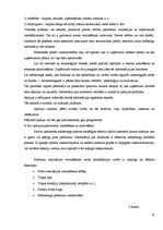 Referāts 'Preču realizācijas stimulēšanas būtība', 13.