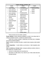 Referāts 'Preču realizācijas stimulēšanas būtība', 14.