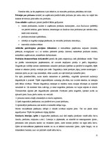 Referāts 'Preču realizācijas stimulēšanas būtība', 15.