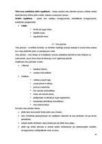 Referāts 'Preču realizācijas stimulēšanas būtība', 20.