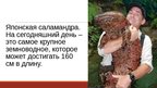 Prezentācija '20 интересных фактов о животных', 2.
