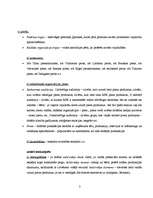 Referāts 'Produkta analīze', 2.