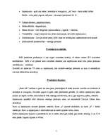 Referāts 'Produkta analīze', 4.