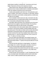 Referāts 'Pirmais pasaules karš', 5.