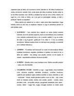 Referāts 'Prenatālā attīstība', 3.