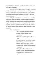 Referāts 'Lielie ģeogrāfiskie atklājumi', 3.