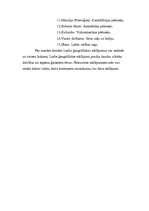 Referāts 'Lielie ģeogrāfiskie atklājumi', 4.