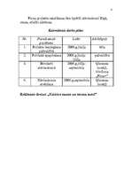 Konspekts 'Projekta "Automašīnu stāvlaukms" izstrāde', 4.