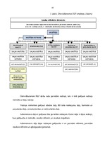 Prakses atskaite 'Cilvēkresursu/biroja administrēšana', 10.