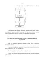 Prakses atskaite 'Cilvēkresursu/biroja administrēšana', 12.