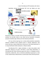 Prakses atskaite 'Cilvēkresursu/biroja administrēšana', 24.