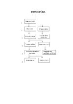 Paraugs 'Shēmas', 3.