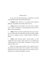 Referāts 'Karla Gustava Junga priekšstati par psihi, tās fenomeniem un psihiskām parādībām', 7.