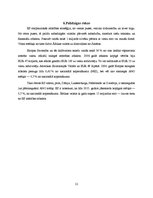 Referāts 'Importa un eksporta nepieciešamība mūsu ekonomikā', 12.