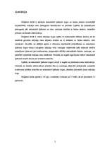 Diplomdarbs 'Hipotekārās kreditēšanas ekspansijas un nekustamā īpašuma tirgus attīstības kops', 2.