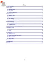 Biznesa plāns 'Dabīgo zāļu tēju izgatavošana un trauku apgleznošana', 2.