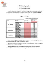 Biznesa plāns 'Dabīgo zāļu tēju izgatavošana un trauku apgleznošana', 7.