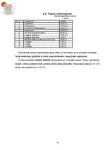 Biznesa plāns 'Dabīgo zāļu tēju izgatavošana un trauku apgleznošana', 10.