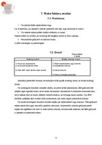 Biznesa plāns 'Dabīgo zāļu tēju izgatavošana un trauku apgleznošana', 12.