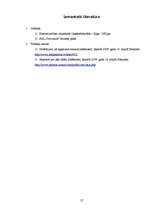 Biznesa plāns 'Dabīgo zāļu tēju izgatavošana un trauku apgleznošana', 17.