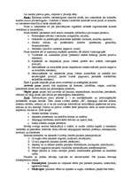 Konspekts 'Konspekts loģikā un retorikā', 5.