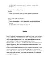 Referāts 'Lietišķo attiecību kultūras īpatnības Austrumos ', 6.