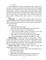 Diplomdarbs 'Rotaļa - mācību motivācijas veicinātāja 1.klasē', 10.