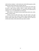 Diplomdarbs 'Rotaļa - mācību motivācijas veicinātāja 1.klasē', 24.