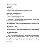 Diplomdarbs 'Rotaļa - mācību motivācijas veicinātāja 1.klasē', 28.