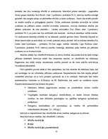 Diplomdarbs 'Rotaļa - mācību motivācijas veicinātāja 1.klasē', 35.