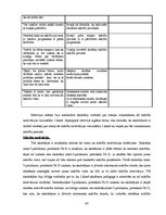 Diplomdarbs 'Rotaļa - mācību motivācijas veicinātāja 1.klasē', 42.