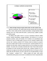 Diplomdarbs 'Rotaļa - mācību motivācijas veicinātāja 1.klasē', 48.