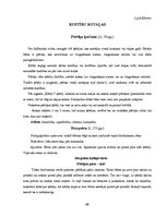 Diplomdarbs 'Rotaļa - mācību motivācijas veicinātāja 1.klasē', 66.