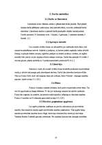 Referāts 'Ajūrvēdiskā masāža, tās ietekme uz veselību', 19.