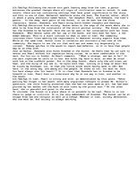 Eseja 'Eyes of Society--An essay about how Hester, Dimsdale and Pearl are totally diffe', 1.