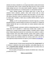 Referāts 'Koncertorganizācijas "Ave Sol" stratēģija', 5.