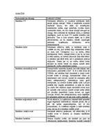 Konspekts 'Mārketinga komunikācijas efektivitāte', 2.